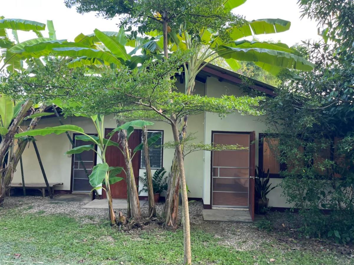Brown House Chiangdao Hostel Chiang Dao Exterior photo