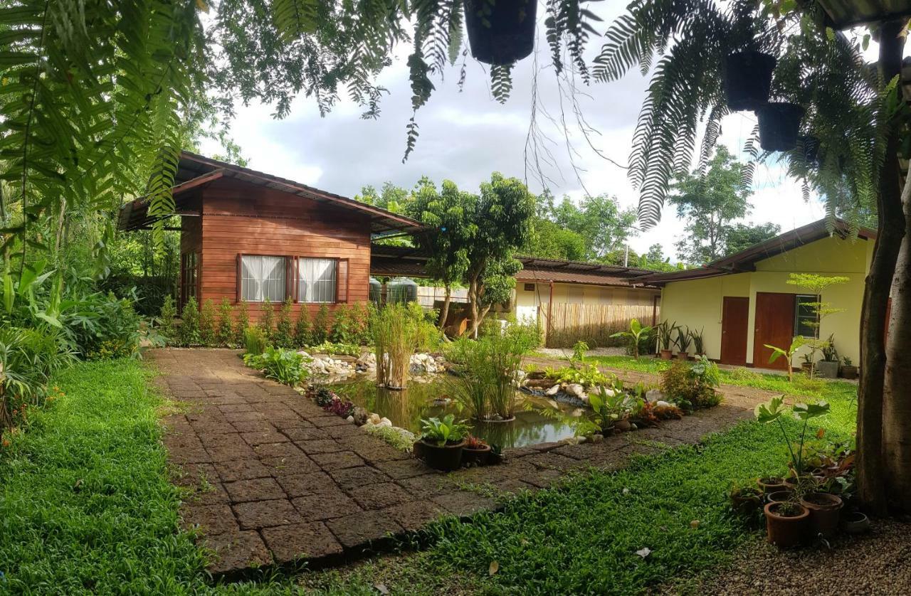 Brown House Chiangdao Hostel Chiang Dao Exterior photo